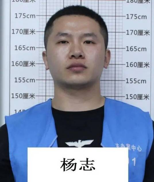 杨志（犯罪嫌疑人）
