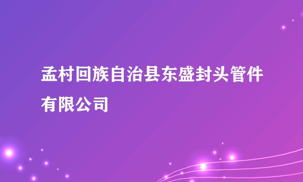 孟村回族自治县东盛封头管件有限公司