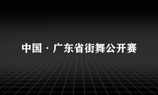 中国·广东省街舞公开赛