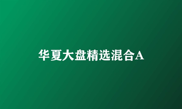 华夏大盘精选混合A