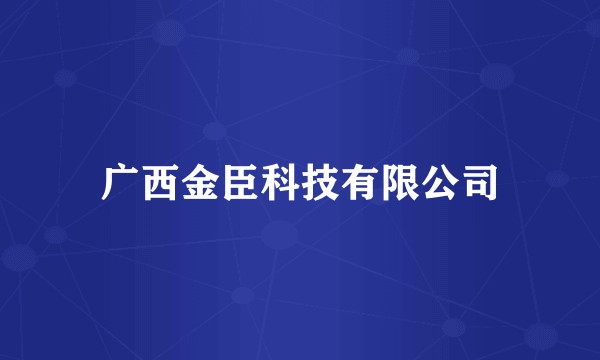 广西金臣科技有限公司