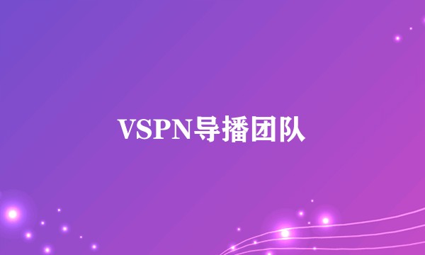 VSPN导播团队