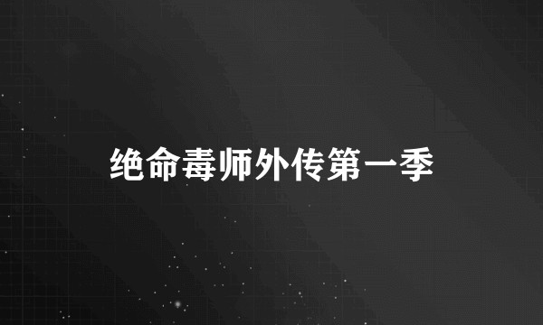 绝命毒师外传第一季