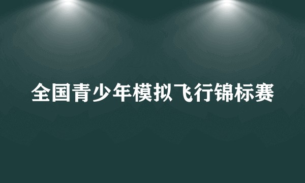 全国青少年模拟飞行锦标赛