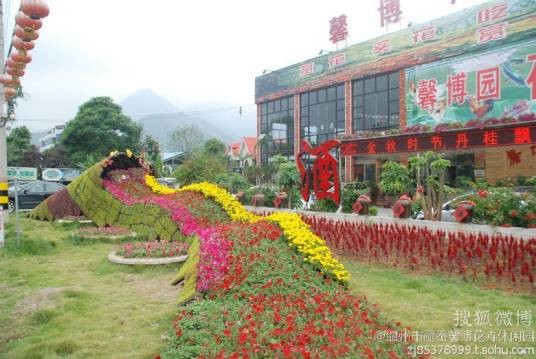 温州市馨博休闲园