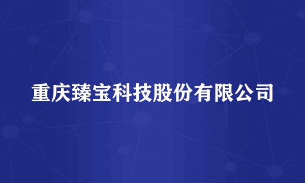 重庆臻宝科技股份有限公司