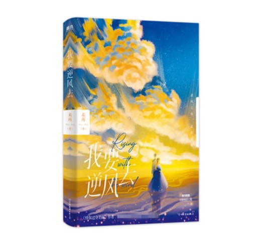 我要逆风去（2023年中国友谊出版公司出版的图书）