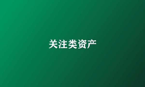 关注类资产