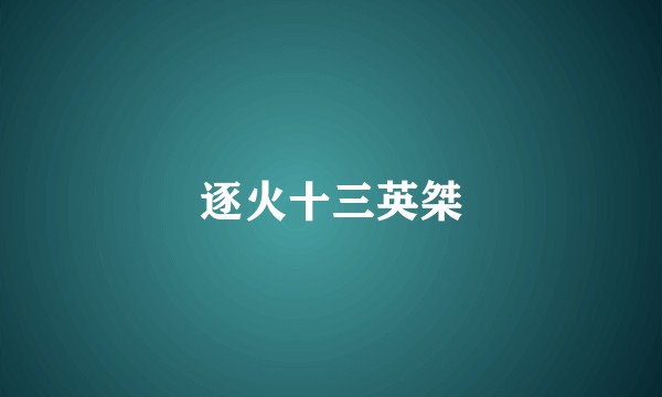 逐火十三英桀