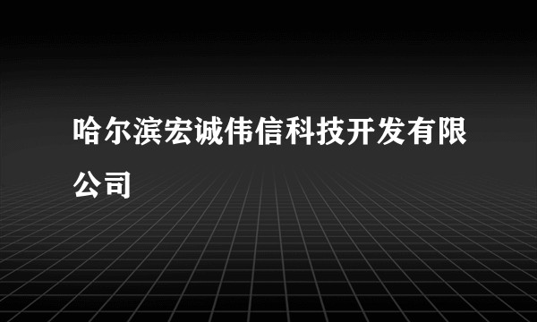 哈尔滨宏诚伟信科技开发有限公司