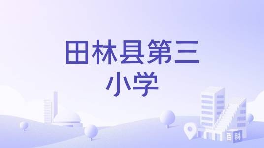 田林县第三小学
