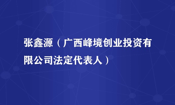 张鑫源（广西峰境创业投资有限公司法定代表人）