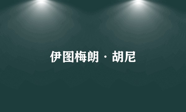 伊图梅朗·胡尼