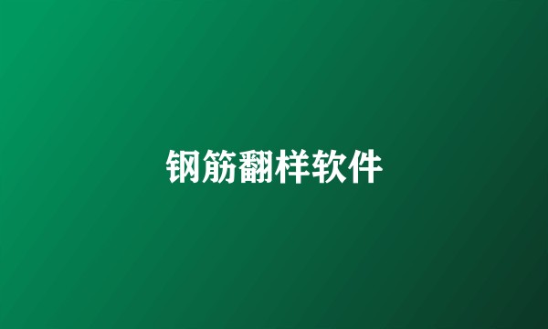 钢筋翻样软件