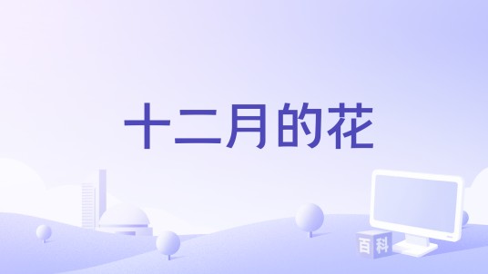十二月的花