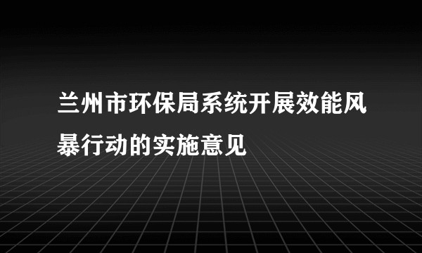 兰州市环保局系统开展效能风暴行动的实施意见