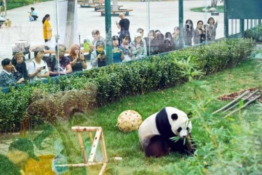 天津光合谷旅游度假区动物园