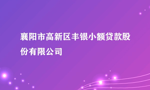 襄阳市高新区丰银小额贷款股份有限公司