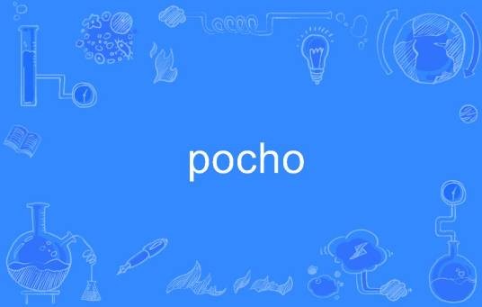 pocho
