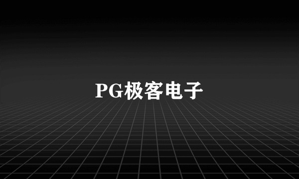 PG极客电子