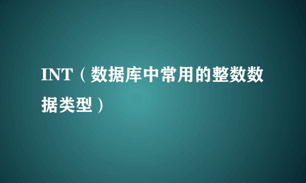 INT（数据库中常用的整数数据类型）