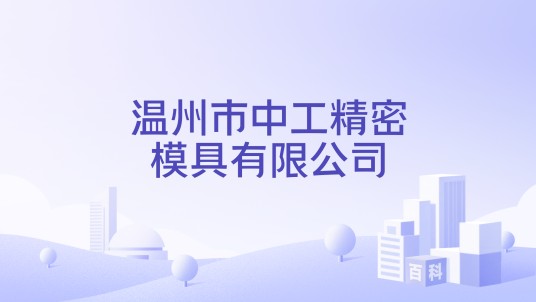温州市中工精密模具有限公司