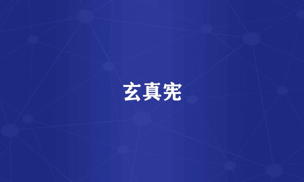 玄真宪