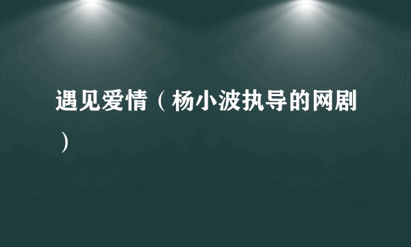 遇见爱情（杨小波执导的网剧）