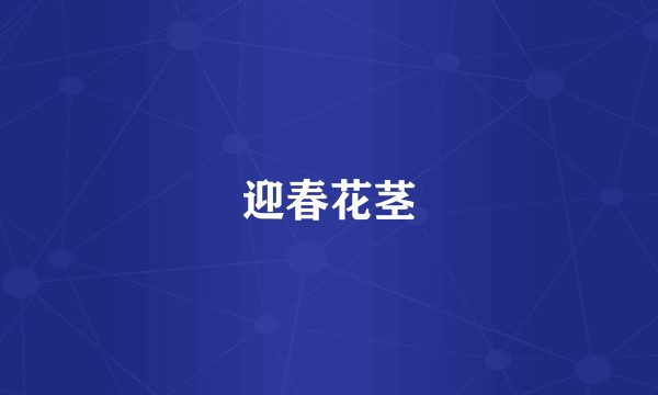 迎春花茎