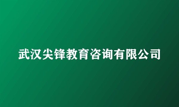 武汉尖锋教育咨询有限公司