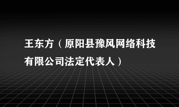 王东方（原阳县豫风网络科技有限公司法定代表人）