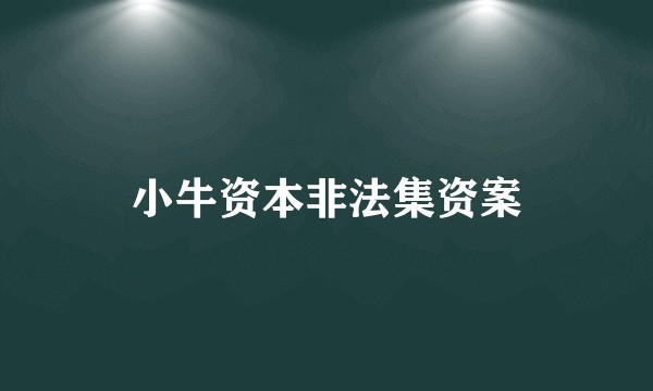 小牛资本非法集资案