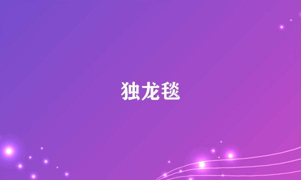 独龙毯