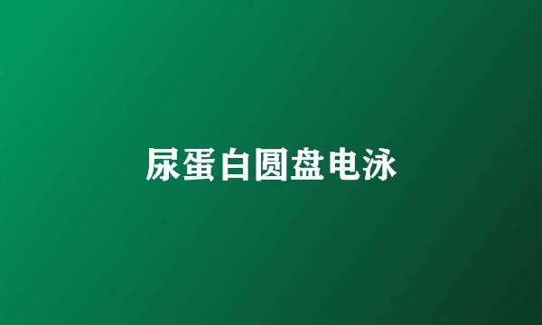 尿蛋白圆盘电泳