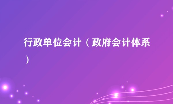行政单位会计（政府会计体系）