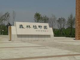 绥化森林植物园