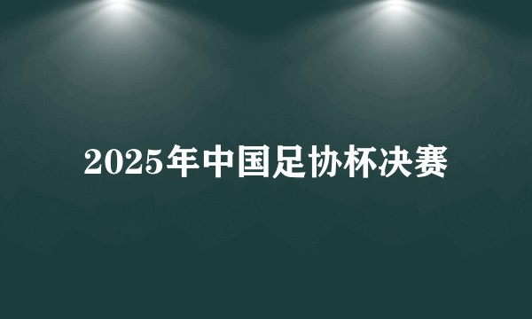 2025年中国足协杯决赛