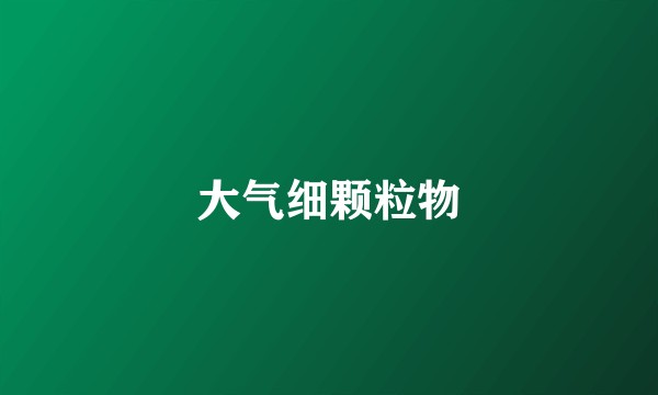大气细颗粒物