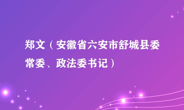 郑文（安徽省六安市舒城县委常委、政法委书记）