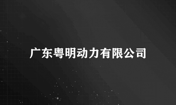 广东粤明动力有限公司