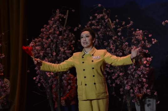 王佳丽（山西民歌手、歌舞剧演员）