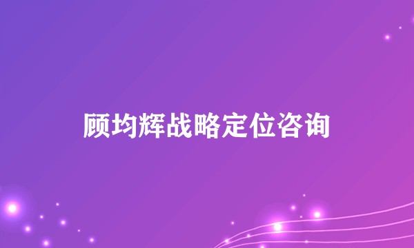 顾均辉战略定位咨询
