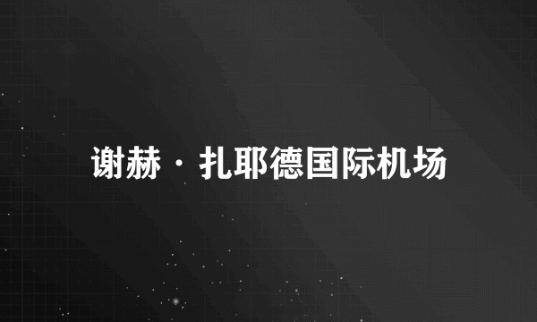 谢赫·扎耶德国际机场
