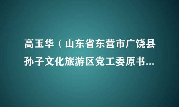 高玉华（山东省东营市广饶县孙子文化旅游区党工委原书记、管委会原主任）