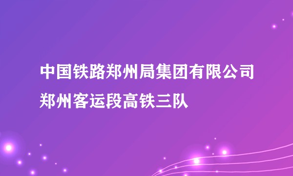 中国铁路郑州局集团有限公司郑州客运段高铁三队