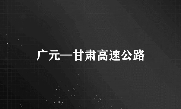 广元—甘肃高速公路