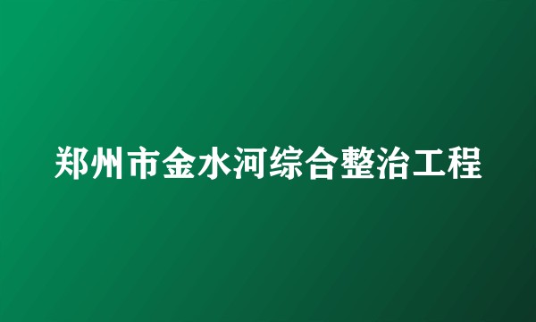 郑州市金水河综合整治工程