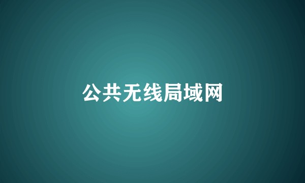 公共无线局域网