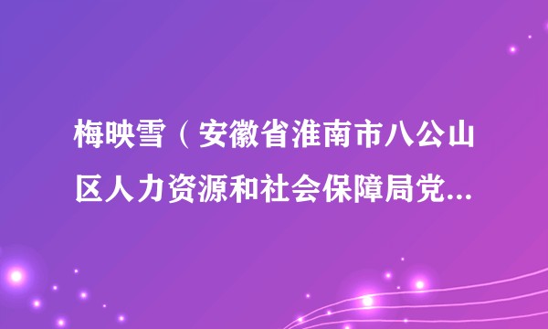 梅映雪(安徽省淮南市八公山区人力资源和社会保障局党组副书记、副局长)